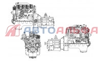 Двигатель ММЗ серии Д-245.30Е3 - схема