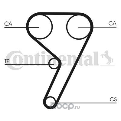 ct881wp1 Комплект ремня ГРМ FORD FIESTA 1.251.4 95- (с помпой) CONTITECH CT881WP1 — фото 255x150