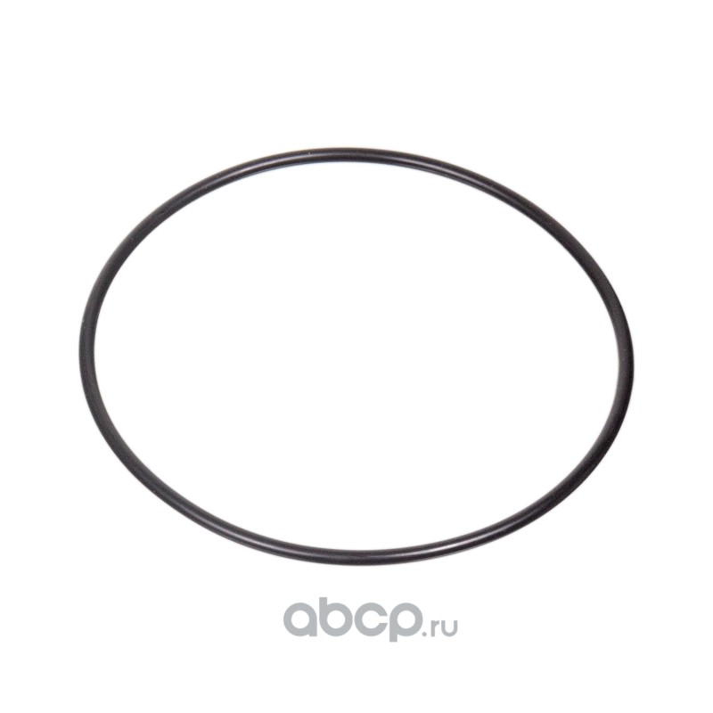 48404 Уплотнительное кольцо круглого сечения для гидронасоса — фото 255x150