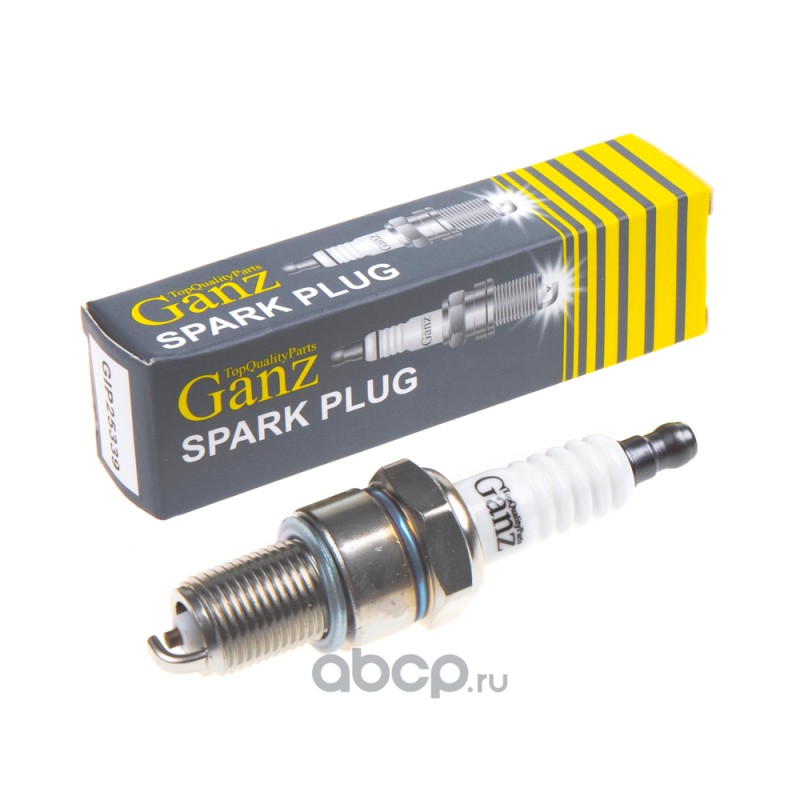gip25339 Свеча зажигания для а/м ВАЗ 2110 инжектор (5339) GANZ GIP25339 — фото 255x150