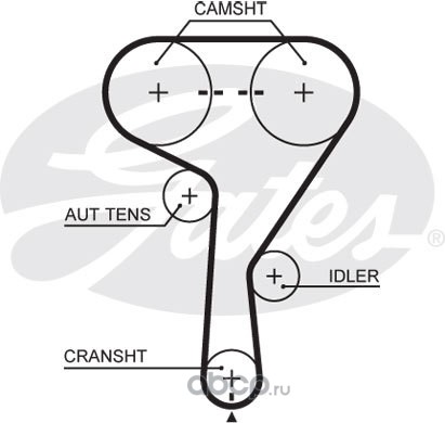 5603xs Ремень ГРМ CHEVROLET Aveo (11-) (1.6),Cruze (1.8) OPEL (04-) (1.6/1.8/1.6T) (146х24) GATES — фото 255x150