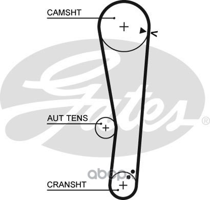5568xs     Ремень ГРМ Hyundai Accent 1,3-1,5 SOHC/Getz 1,3 Gates — фото 255x150