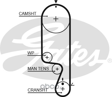 5535xs     Ремень ГРМ Daewoo Matiz 98-; Chevrolet Aveo 02-, Spark 05- (1.0-1.2); MMC Lancer (CS) 1.3-1.6 Gates — фото 255x150
