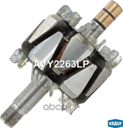 avy2263lp Ротор генератора — фото 255x150